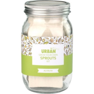 URBAN GREENS Grow Your Own Sprouts Kit Alfalfa - 10x10x17cm